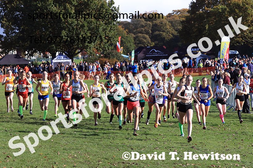Girls under-15s, 2024 Northern Cross Country Relays, Graves Park, Sheffield.   Photo: David T. Hewitson/Sports for All Pics